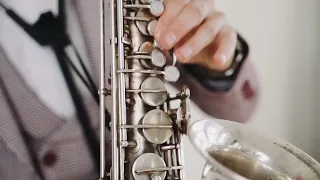 Zivert - Паруса ( саксофон promo perfectsax cover )