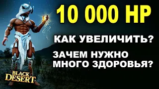 10 000 НР (Здоровье): Как сделать? Зачем столько ХП в БДО (BDO - Black Desert)