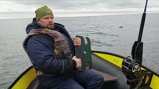 Морская рыбалка, Баренцево море. Октябрь-2022/Sea fishing, Barents Sea. October-2022