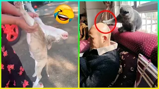 Animales Más Dramáticos 😂 Parte 5