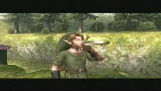 Zelda Twilight Princess - Boomerang Bird Call (GCN)