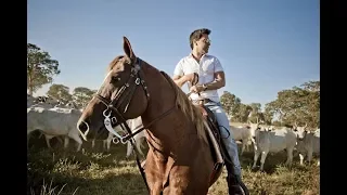 ZEZÉ DICAMARGO E LUCANO - "MEU PAÍS"