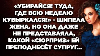 Убирайся! Туда, где всю неделю кувыркался!   орала жена, когда муж заявился после длительного...