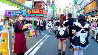 [Akihabara Walk in Tokyo] 💖 Paradise Town ♪ 4K ASMR Nonstop 1 hour 02 minutes