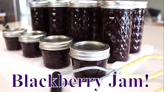 Canning BlackBerry Plum Pepper Jam~Linda's Pantry~