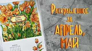 Раскрашенное за АПРЕЛЬ, МАЙ //2024 // Completed coloring pages / APRIL, MAY