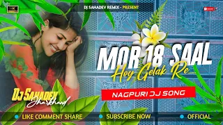 Mor 18 Saal Hay Gelak Re || New Nagpuri Dj Song 2023 || Dj Sahadev