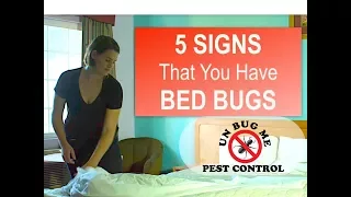 5 SIGNS You Have BED BUGS