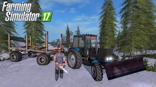 ПОЕХАЛИ В ЛЕС ЗА ЕЛОЧКОЙ К НОВОМУ ГОДУ! FARMING SIMULATOR 17