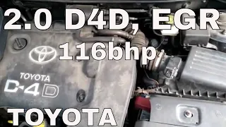 2.0 D4D 116bhp change EGR #CarGuruDIY