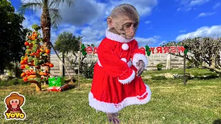 Monkey YiYi so sad because she doesn't have money to make Christmas party for friends