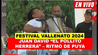 JUAN DAVID "EL POLLITO HERRERA" - PUYA, FESTIVAL VALLENATO 2024