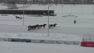 Московский ипподром. Бега. 18.02.18. Все финиши дня.