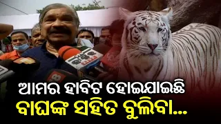 "We Are Habituated To Play With Tigers": Congress Leader Sura Routray || KalingaTV