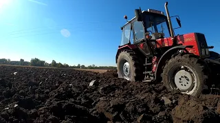 [2021] TURBO SOUND|Kukorica tarló szántás|MTZ 892.2+Helti Spertberg 3|Corn field ploughing