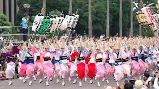 Why not dance Awaodori with us? Awaodori, a traditional Japanese art even audiences start to dance!