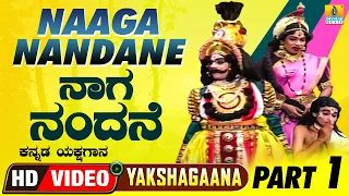 Naaga Nandane - ನಾಗ ನಂದನೆ - Part 01 | Kannada Yakshagana | HD Video | Jhankar Music