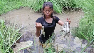 Survival skills: Find catch frog in lake - Cooking frog spicy delicious for lunch in jungle