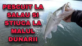 Pescuit la salau de pe mal la Dunare