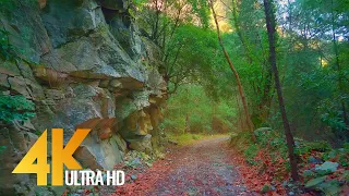 Virtual Hike through Dilek National Park, Turkey (4K Ultra HD) - 10-Bit Color Forest Walk