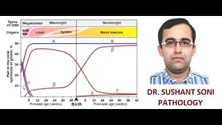 Hematology Quiz discssn