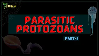 Parasitic Protozoans || Trypanosoma, Leishmania, Giardia || Zoology