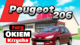 Francuski gruzęę - Peugeot 206 - Fury okiem Krzycha