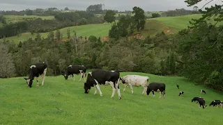 GREENLEA   Burke   farmer profile1080P new logo