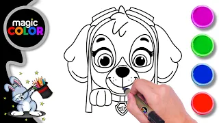 How to draw Paw Patrol Skye Face - Easy Draw Magic Color for kids - Magic Color #cute #pawpatrol