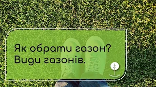 Як обрати травосуміш для ІДЕАЛЬНОГО ГАЗОНУ? Важливі поради!