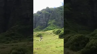 Giant Strange Creatures Sighted in HAWAII 😮 @kualoahi | OAHU #kong #oahu #hawaii