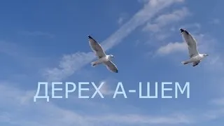 Дерех а-Шем 15-й урок "Заповеди и Тора, исправление человека и мира"