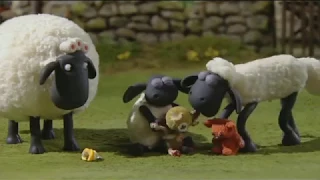 4. Big Top Timmy - Shaun the Sheep S1E4 (DVDRip XvID)