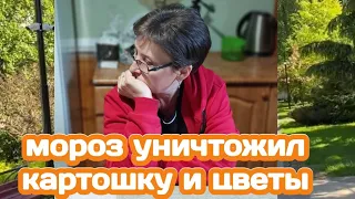 ВЕРНУЛИСЬ В ДЕРЕВНЮ - ВСЕ РАСТЮХИ ПОБИЛ МОРОЗ, ПОЧЕМУ МНЕ НЕКОГДА МЫТЬ ПОСУДУ