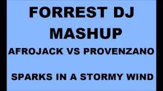 Forrest DJ - Mashup - Provenzano vs Arfojack - Sparks in a Stormy Winds