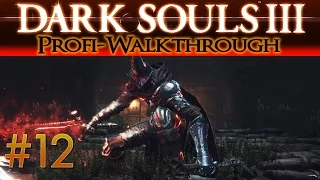 Dark Souls 3 Profi Walkthrough #12 | Die Wächter des Abgrunds