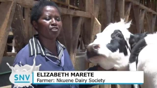 KMDP activities with farmers in the Kenyan  Dairy Value Chain (long Version)