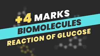 All Reactions of Glucose | Biomolecules for JEE Mains 2023