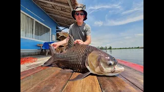 Fishing Adventure Snakehead  Mekong Siamese Carp Thailand 2022- BKKGUY