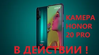 Камеры HONOR 20 PRO в действии!