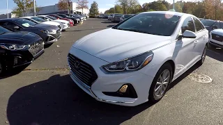 Walkaround review of NEW 2019 Hyundai Sonata SE