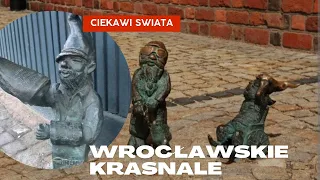 Wrocławskie Krasnale Ciekawi Świata odc:1 #ciekawostki #historia #wrocław #dolnośląskie #wiedza