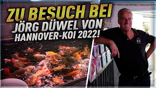 Zu Besuch bei Jörg Düwel - Hannover Koi 2022!