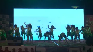 Jungle Theme Dance by Meridian Student on annual function 2016