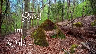 Ein großes Gräberfeld im Wald? Weitere Erkundung im Land der Dreiecksteine im Aichtal