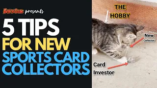 5 TIPS for NEW Sports Card Collectors / Investors. DON'T BE THE MOUSE!