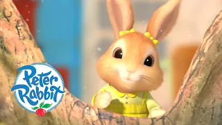 Peter Rabbit - #Christmas Eve | Cartoons for Kids