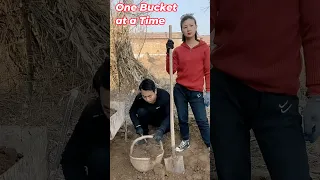 Teamwork in the Garden: One Bucket at a Time $funny #shorts #couple #soil #bucket #viral #trending