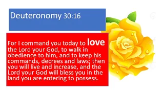 LOVE IN HOLY BIBLE 9