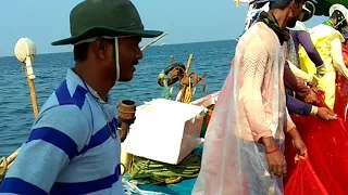 Amazing Fishing In Ratnagiri